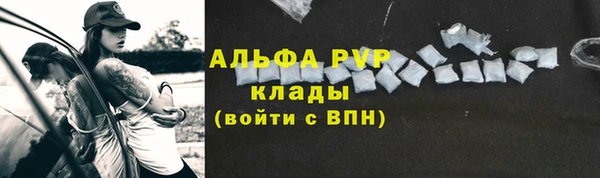 spice Вяземский