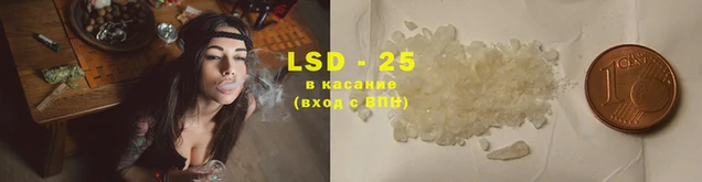spice Вяземский