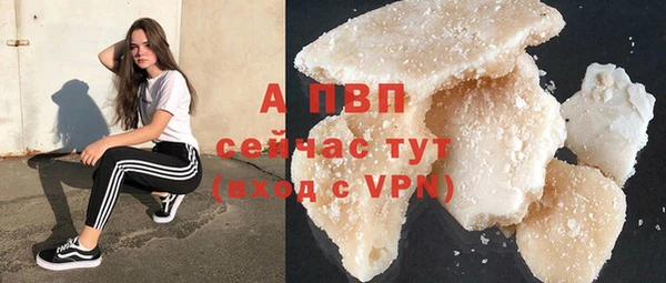 spice Вяземский