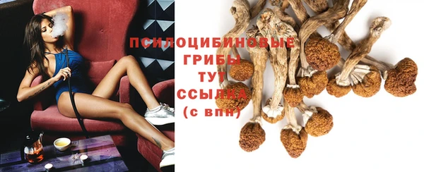 2c-b Вязьма